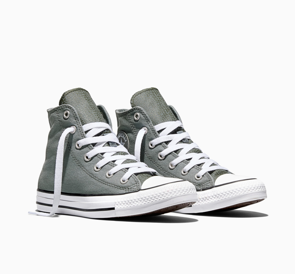 Chuck Taylor All Star Dinos