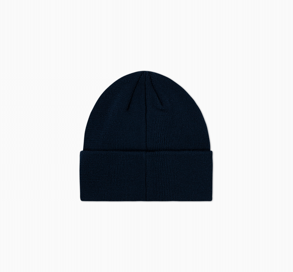 Day 1 Chuck Patch Beanie
